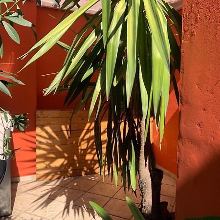 Villa Coyoacan Мехіко Екстер'єр фото