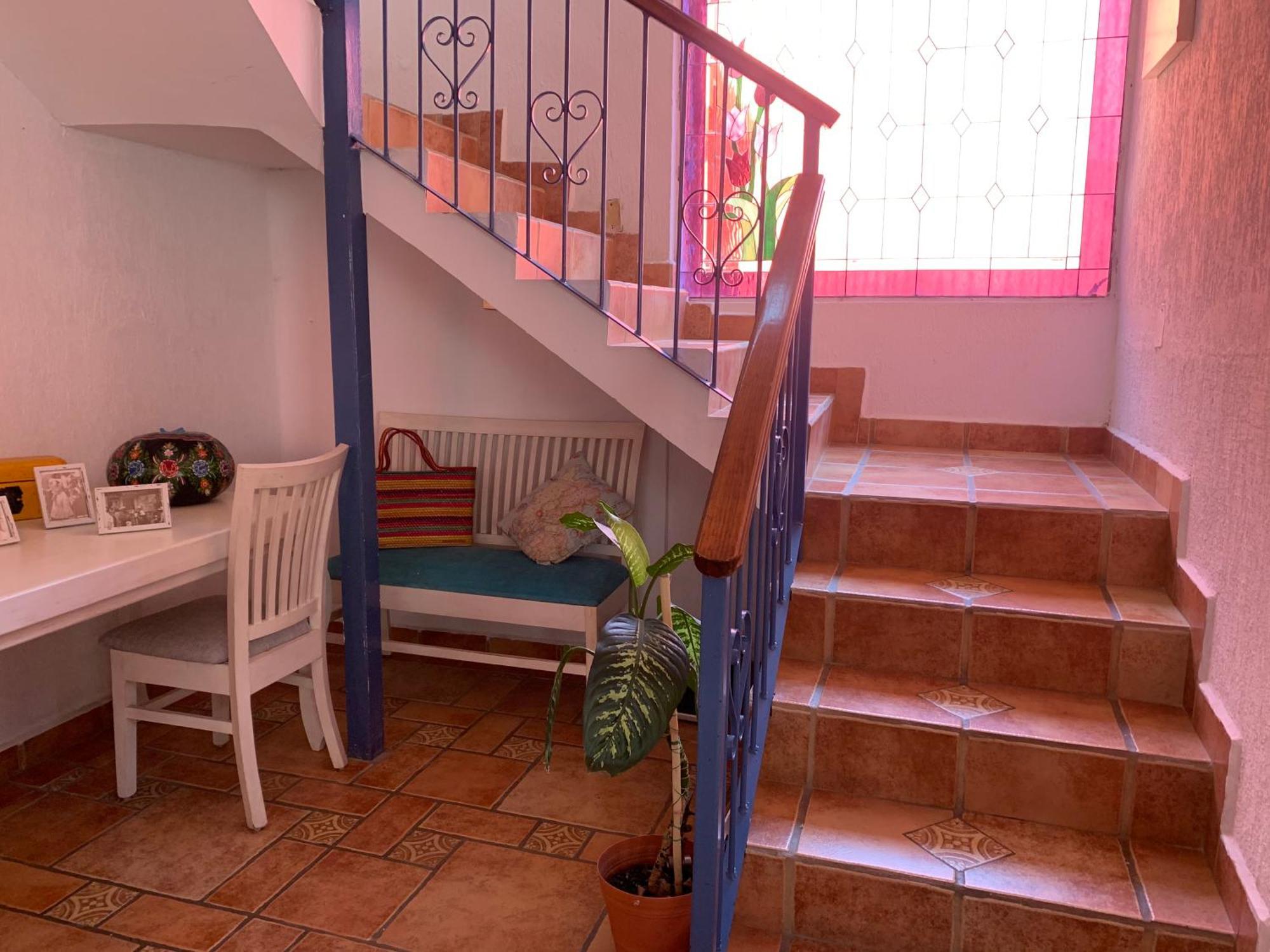 Villa Coyoacan Мехіко Екстер'єр фото