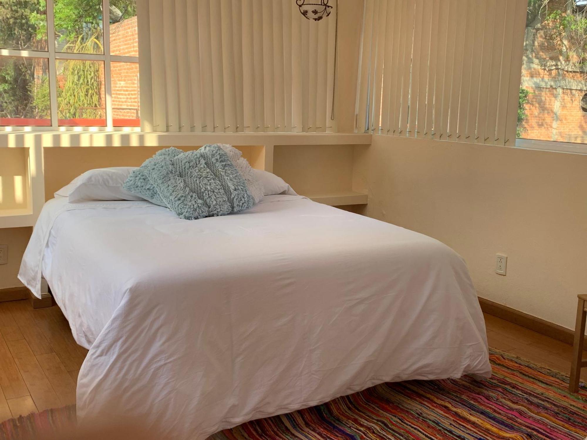 Villa Coyoacan Мехіко Екстер'єр фото