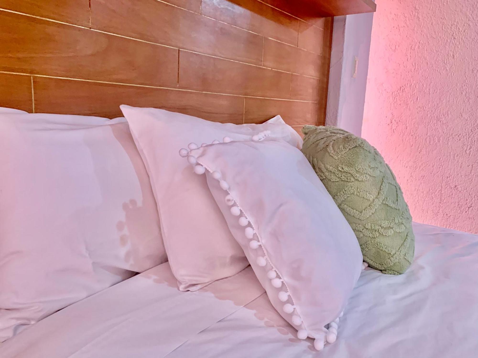 Villa Coyoacan Мехіко Екстер'єр фото