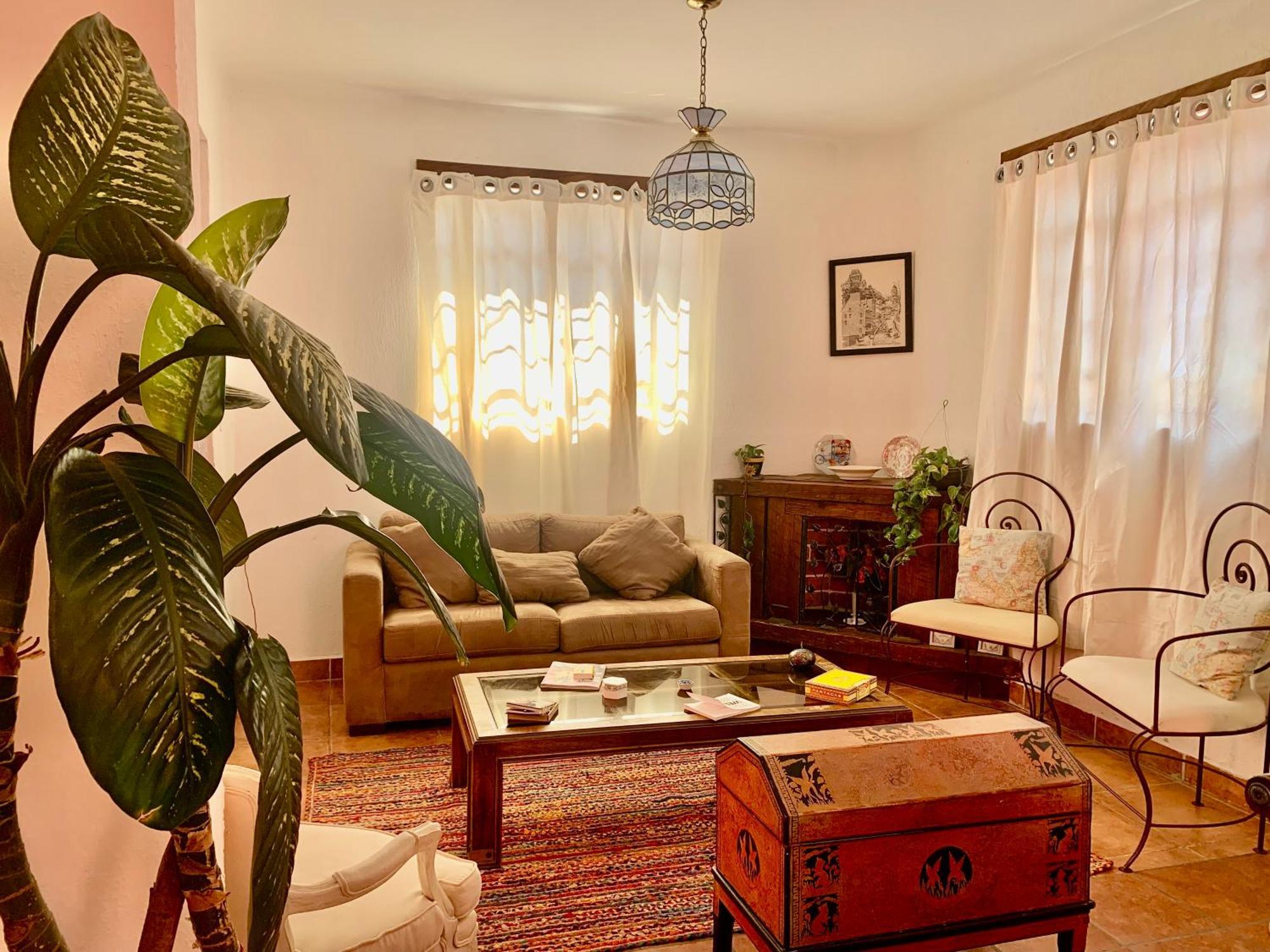 Villa Coyoacan Мехіко Екстер'єр фото