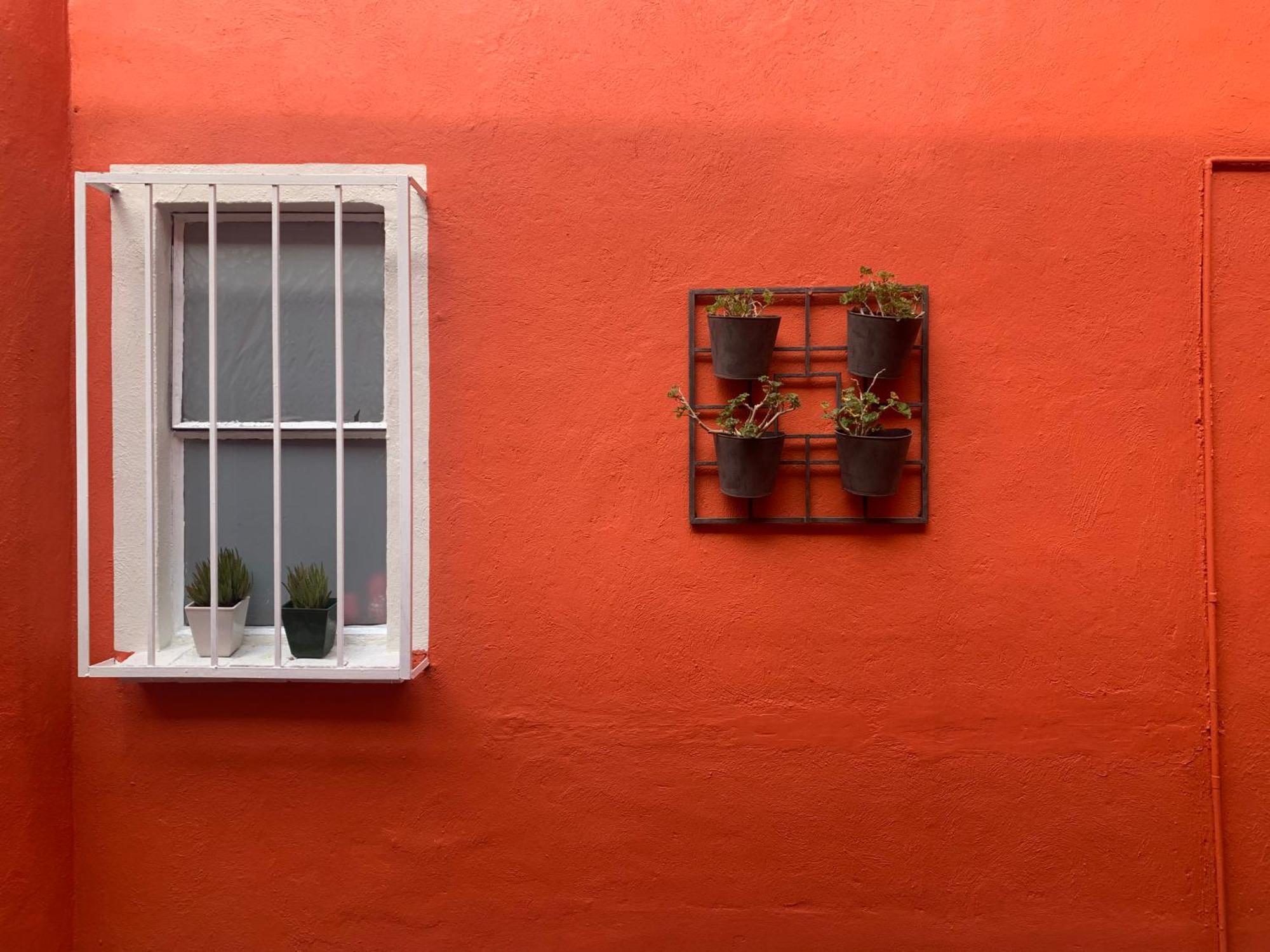Villa Coyoacan Мехіко Екстер'єр фото