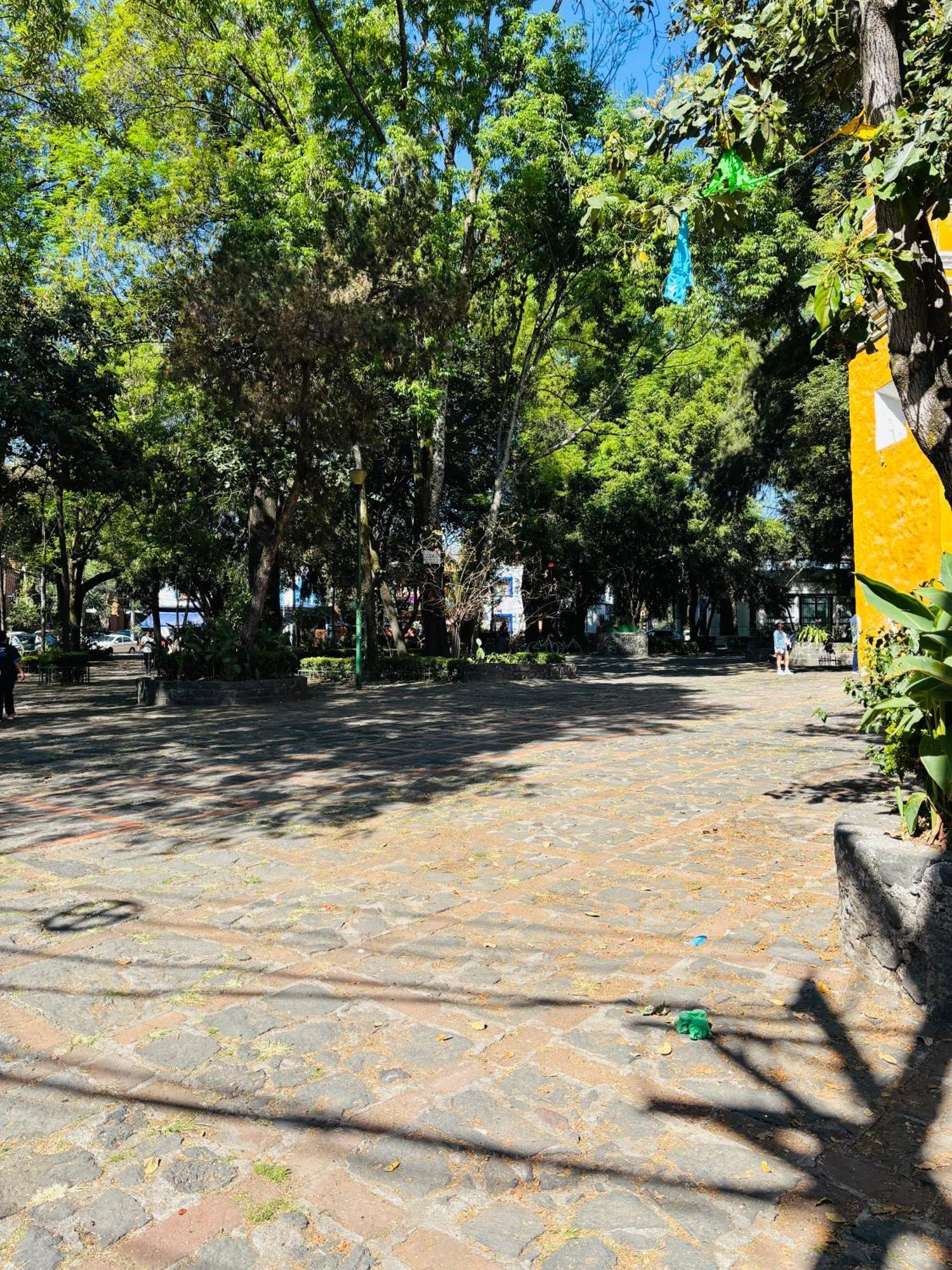 Villa Coyoacan Мехіко Екстер'єр фото