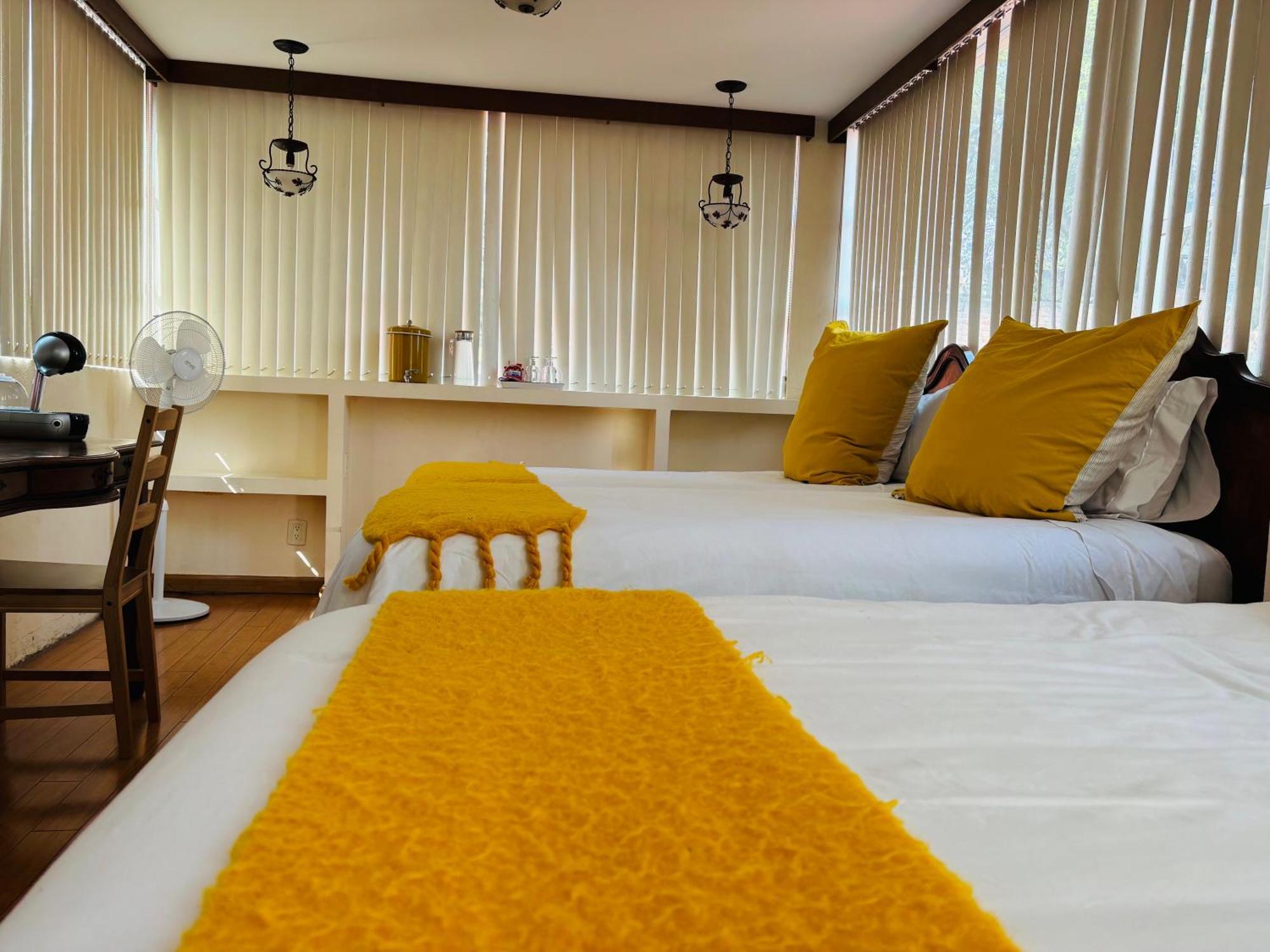 Villa Coyoacan Мехіко Екстер'єр фото